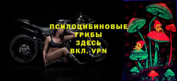 прущая мука Горно-Алтайск