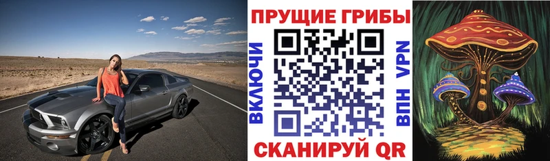 Псилоцибиновые грибы Psilocybine cubensis  Купить где  Янаул 